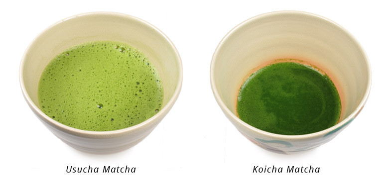 Matcha Usucha Thé Vert Japonais broyé en poudre Bio